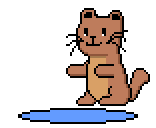 Lontra pegando peixe